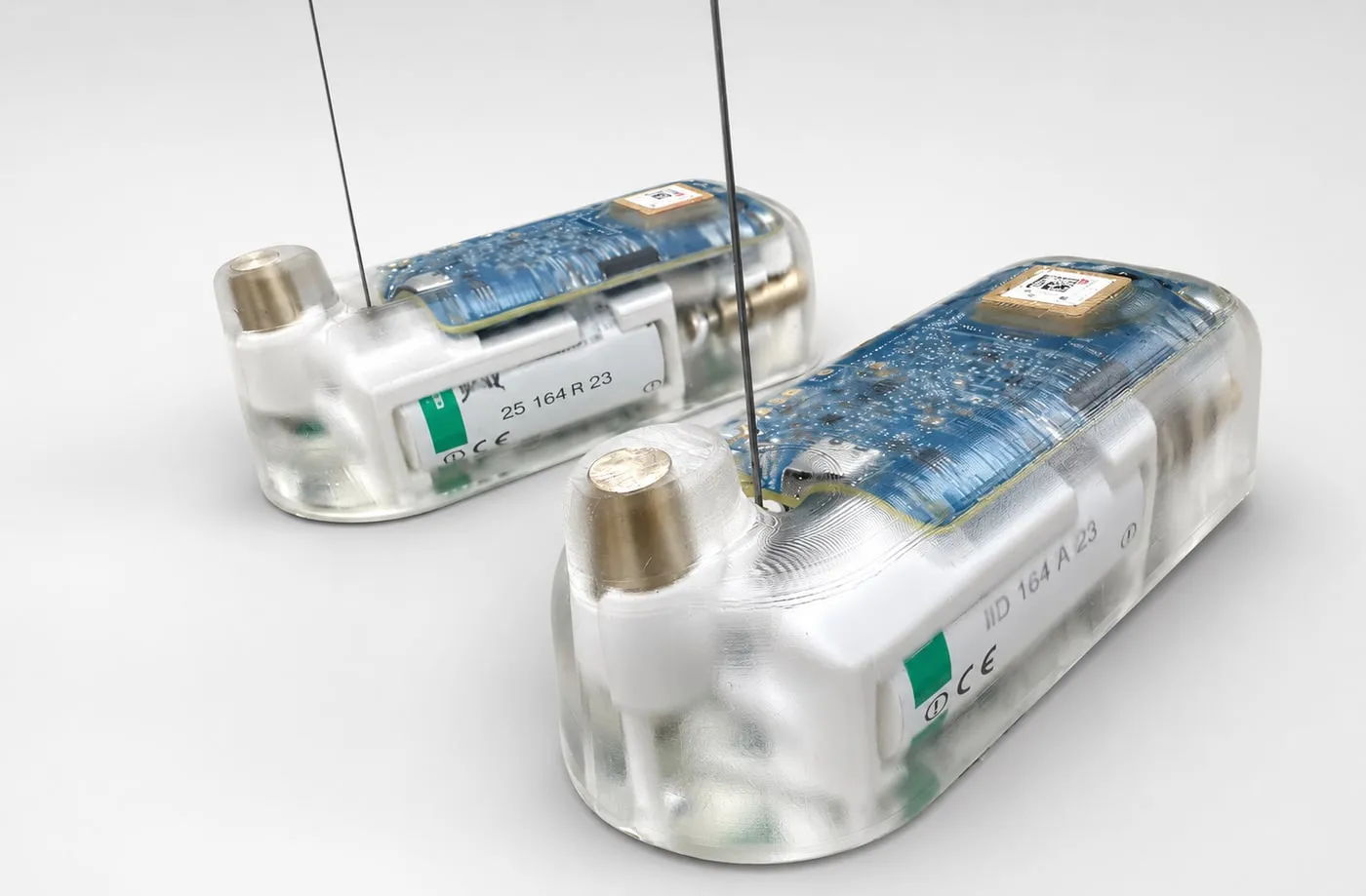 Two sea turtle tags: a Linkit v4 board, cells and a whip antenna sealed in clear epoxy
